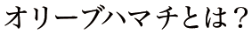 オリーブハマチとは？